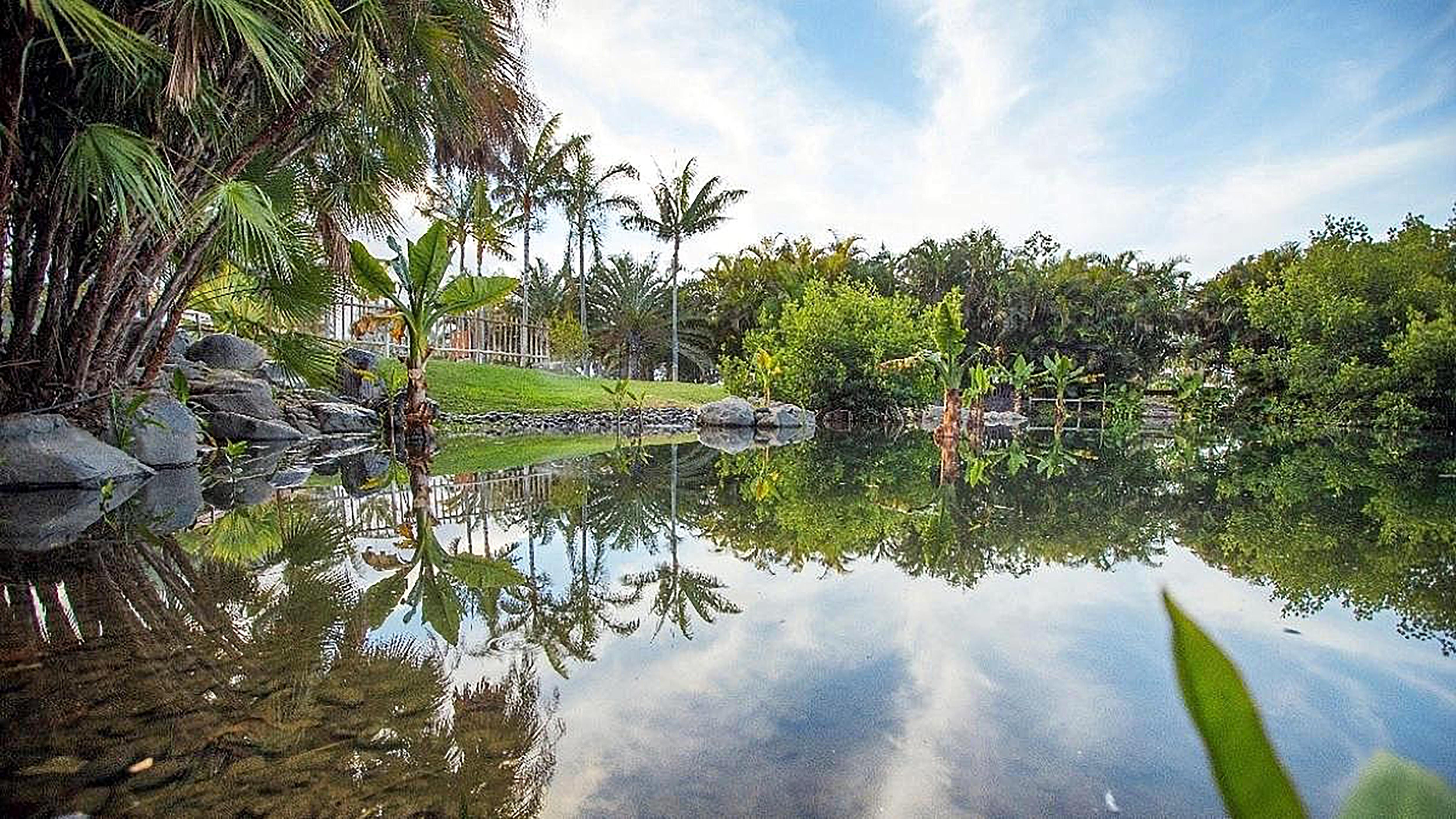 Hotel Adonis Pelinor Santa Cruz de Tenerife Eksteriør billede